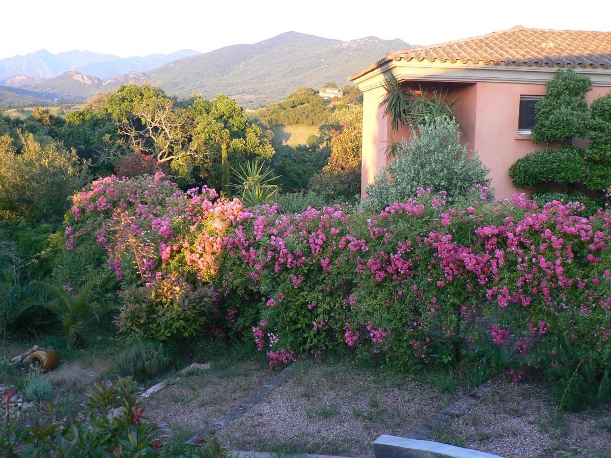 Chambre D'Hote Casa Tozza Porticcio  Bagian luar foto